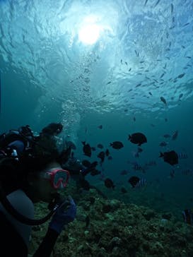 武藤潜水に投稿された画像（2024/8/16）