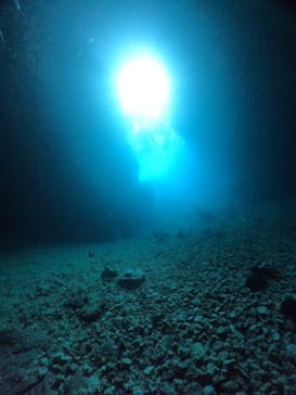 武藤潜水に投稿された画像（2024/8/16）