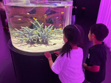 NIFREL（ニフレル）に投稿された画像（2024/8/16）