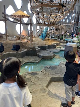 NIFREL（ニフレル）に投稿された画像（2024/8/16）