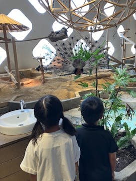 NIFREL（ニフレル）に投稿された画像（2024/8/16）