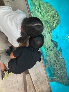 NIFREL（ニフレル）に投稿された画像（2024/8/16）