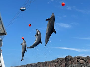 名古屋港水族館に投稿された画像（2024/8/16）