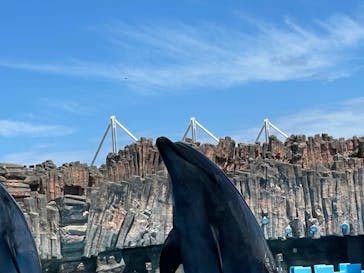 名古屋港水族館に投稿された画像（2024/8/16）