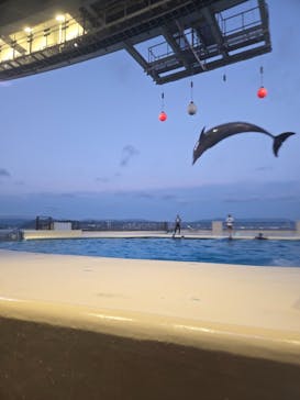 マリンワールド海の中道に投稿された画像（2024/8/16）