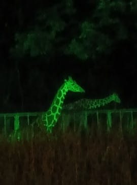 名古屋市東山動植物園に投稿された画像（2024/8/16）