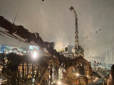 福井県立恐竜博物館に投稿された画像（2024/8/16）