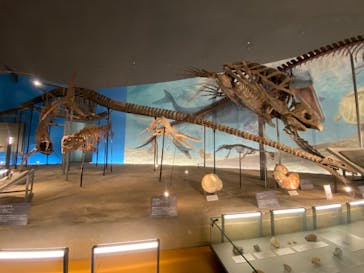 福井県立恐竜博物館に投稿された画像（2024/8/16）