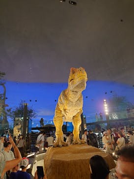 福井県立恐竜博物館に投稿された画像（2024/8/16）