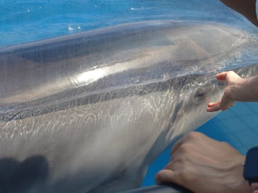 越前松島水族館に投稿された画像（2024/8/16）