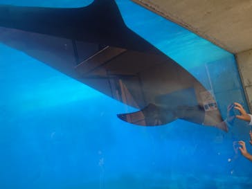 越前松島水族館に投稿された画像（2024/8/16）