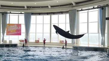 アクアワールド茨城県大洗水族館に投稿された画像（2024/8/16）