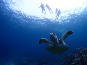 calm石垣島に投稿された画像（2024/8/16）