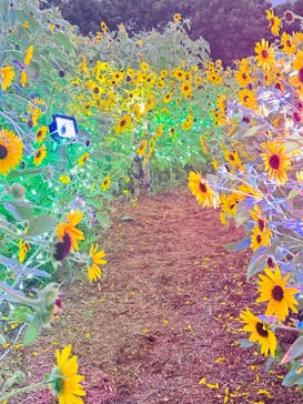 せんだい農業園芸センター　みどりの杜に投稿された画像（2024/8/16）