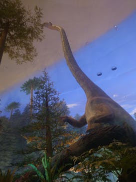 福井県立恐竜博物館に投稿された画像（2024/8/16）