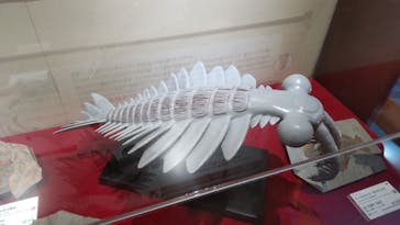 岐阜県博物館に投稿された画像（2024/8/16）