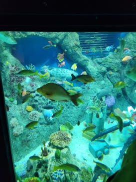 レゴランドⓇ・ジャパン・リゾートに投稿された画像（2024/8/16）