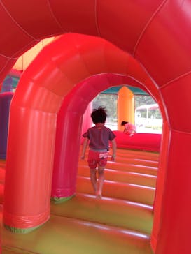 渋川スカイランドパークに投稿された画像（2024/8/16）