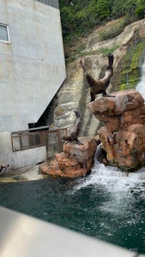 城崎マリンワールドに投稿された画像（2024/8/16）