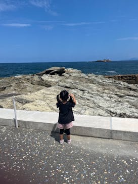 城崎マリンワールドに投稿された画像（2024/8/16）