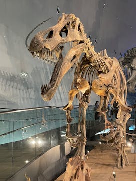 福井県立恐竜博物館に投稿された画像（2024/8/16）