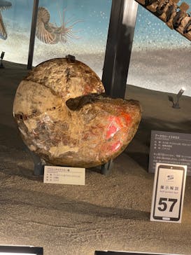 福井県立恐竜博物館に投稿された画像（2024/8/16）