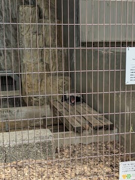 名古屋市東山動植物園に投稿された画像（2024/8/16）