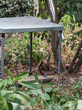 名古屋市東山動植物園に投稿された画像（2024/8/16）