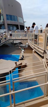 アクアワールド茨城県大洗水族館に投稿された画像（2024/8/16）