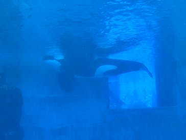 名古屋港水族館に投稿された画像（2024/8/16）