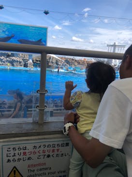 名古屋港水族館に投稿された画像（2024/8/16）