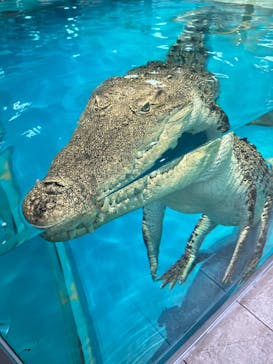 NIFREL（ニフレル）に投稿された画像（2024/8/16）