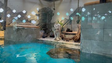 NIFREL（ニフレル）に投稿された画像（2024/8/16）