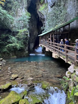 秋芳洞に投稿された画像（2024/8/16）