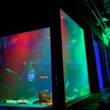 マリンワールド海の中道に投稿された画像（2024/8/16）