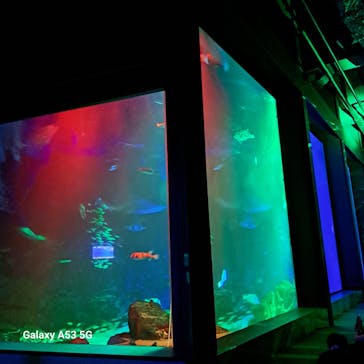 マリンワールド海の中道に投稿された画像（2024/8/16）