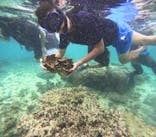 西表島 ADVENTURE PiPi（アドベンチャーピピ）に投稿された画像（2024/8/16）