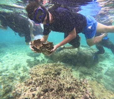 西表島 ADVENTURE PiPi（アドベンチャーピピ）に投稿された画像（2024/8/16）