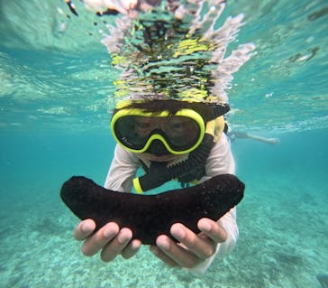 西表島 ADVENTURE PiPi（アドベンチャーピピ）に投稿された画像（2024/8/16）