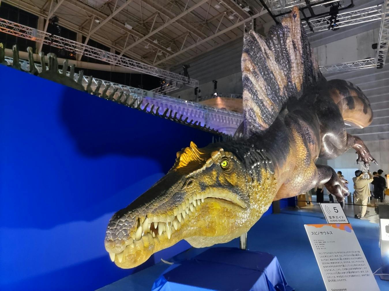 review0002471318-001--e79bd11c