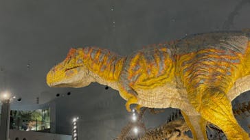 福井県立恐竜博物館に投稿された画像（2024/8/16）