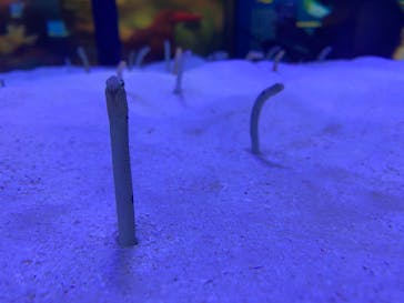 マリンワールド海の中道に投稿された画像（2024/8/16）