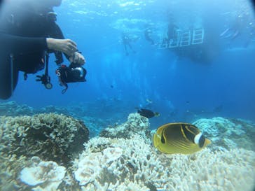 ジョイクリエイト沖縄ティーダに投稿された画像（2024/8/16）