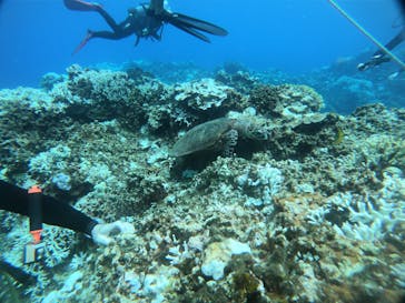 ジョイクリエイト沖縄ティーダに投稿された画像（2024/8/16）