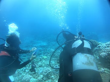 ジョイクリエイト沖縄ティーダに投稿された画像（2024/8/16）