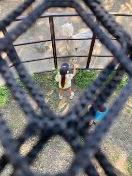 那須高原りんどう湖ファミリー牧場に投稿された画像（2024/8/16）