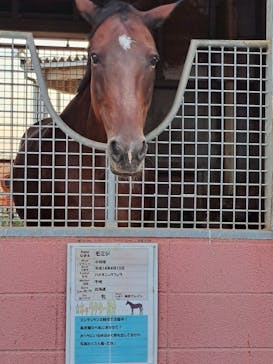 東武動物公園に投稿された画像（2024/8/16）