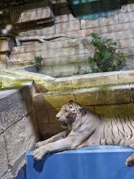 東武動物公園に投稿された画像（2024/8/16）