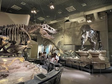 国立科学博物館に投稿された画像（2024/8/16）