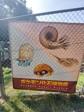 岐阜県博物館に投稿された画像（2024/8/16）